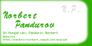norbert pandurov business card